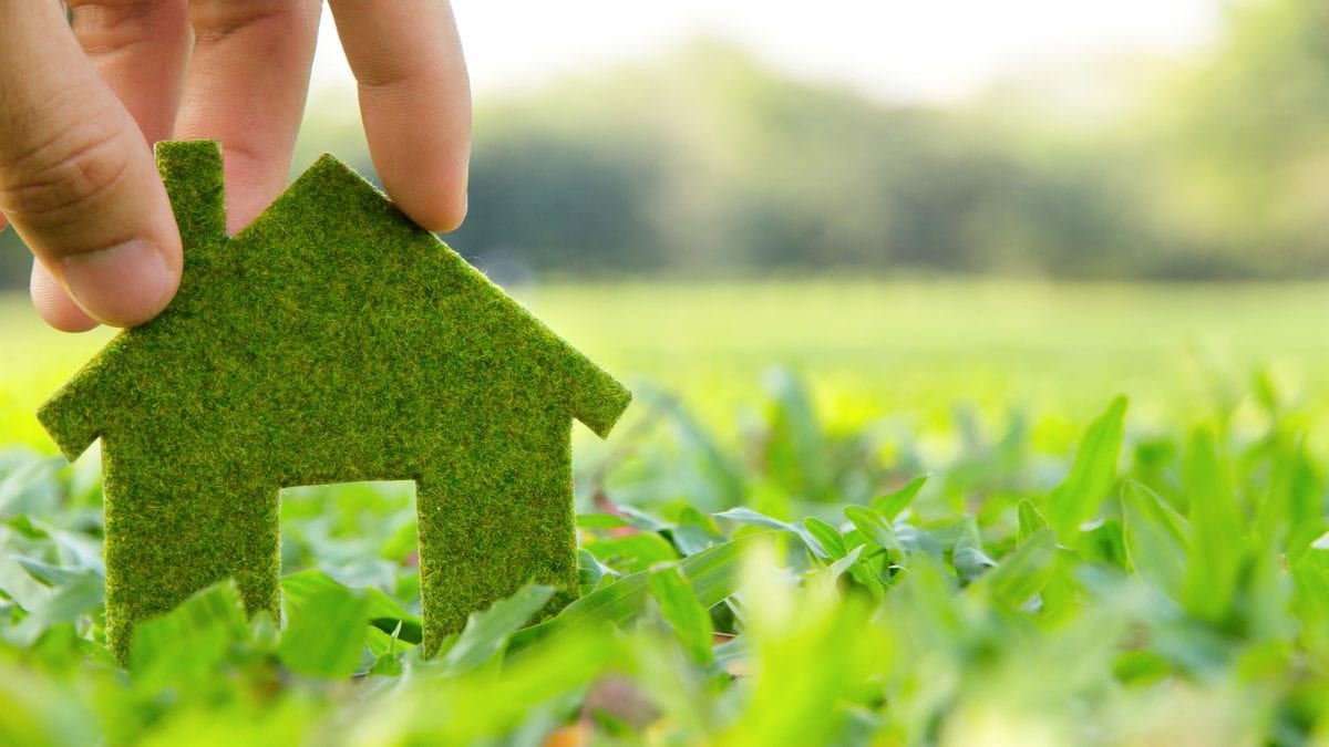 Eco-Friendly Painting Tips for a More Sustainable Home
